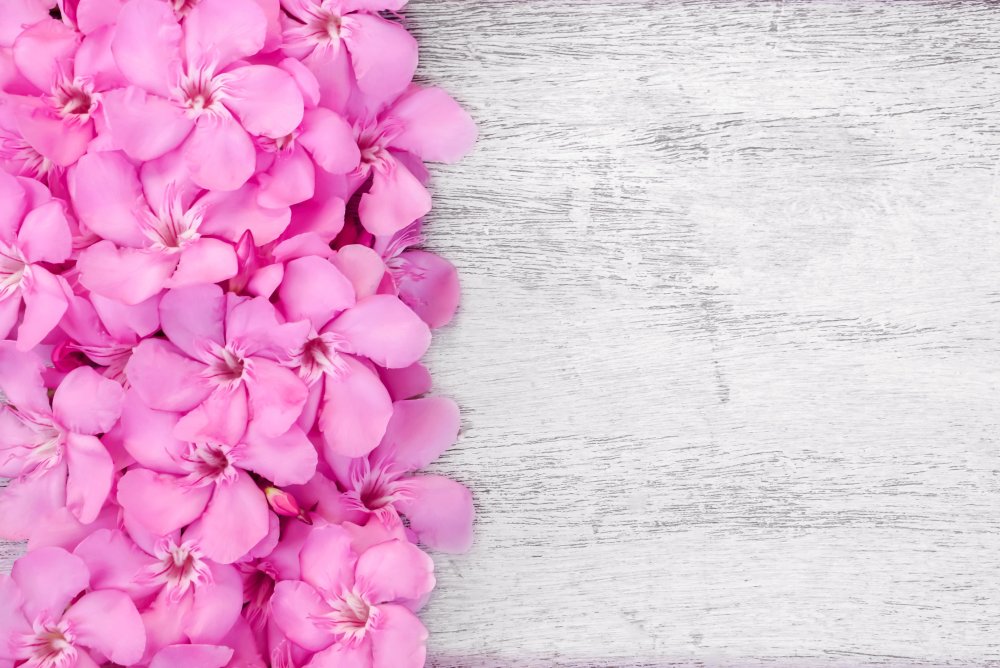 Фон с цветами