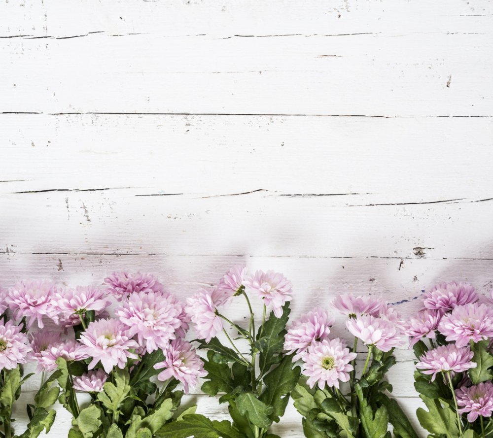 Красивый фон с цветами