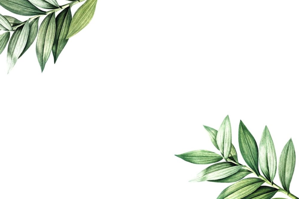 Листья Минимализм