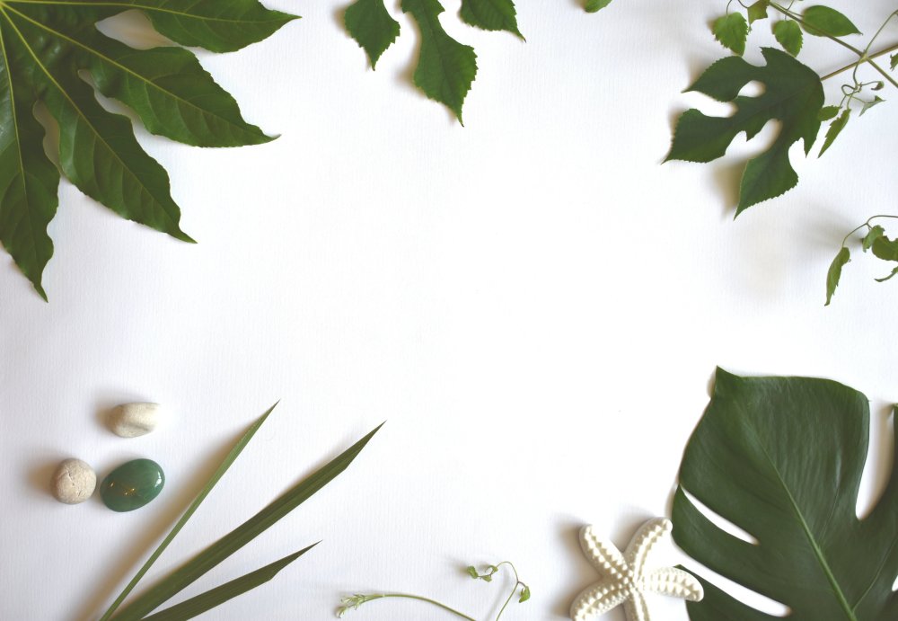 Листья Минимализм