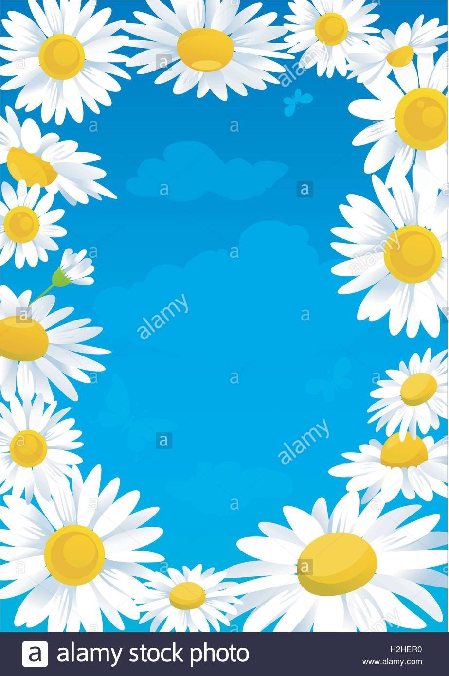 Нежно голубой фон с ромашками