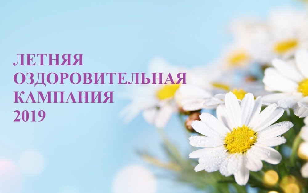 Фотофон ромашки