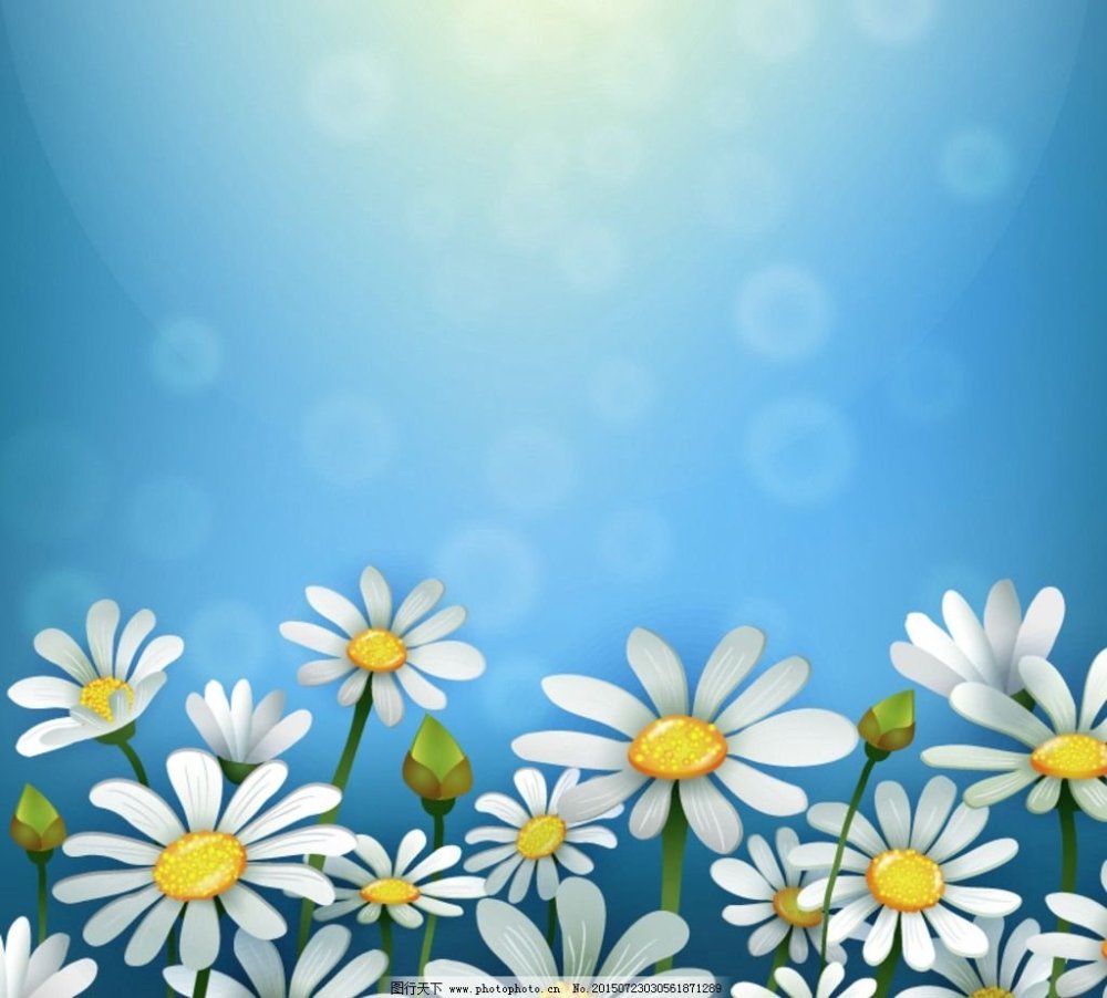 Фон ромашки