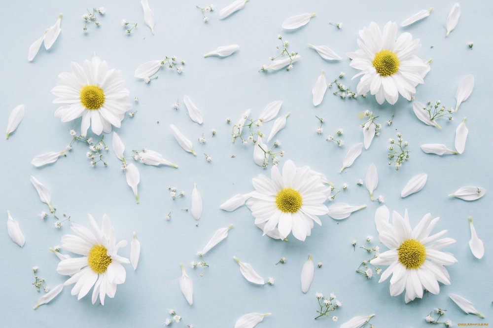 Живопись Татьяны Букреевой