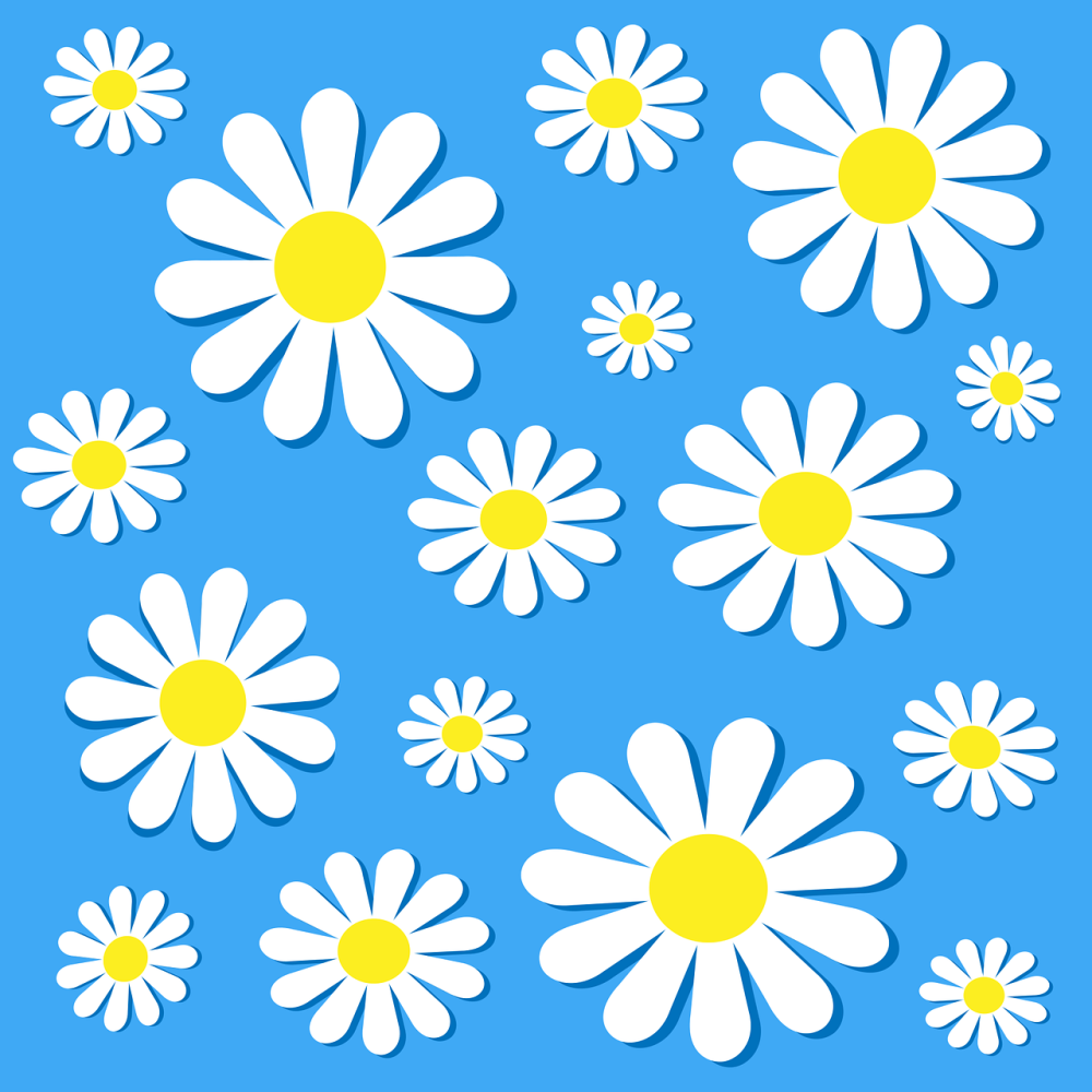 Летние цветы с бабочками