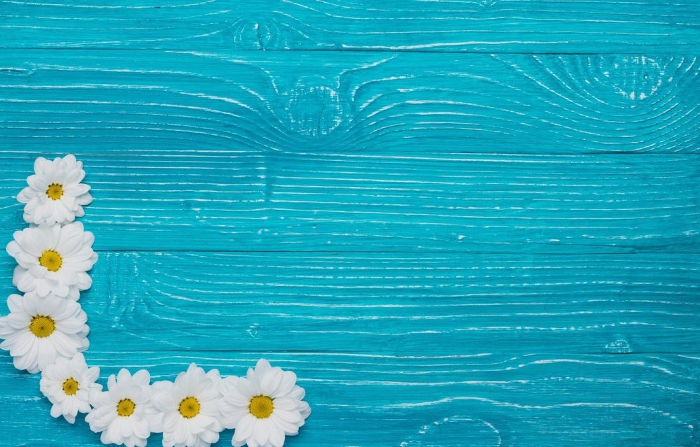 Рамка ромашки для детского сада