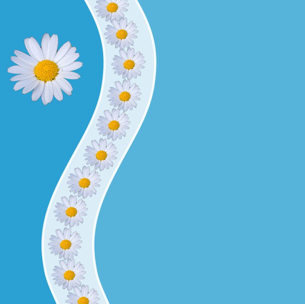 Фон ромашки