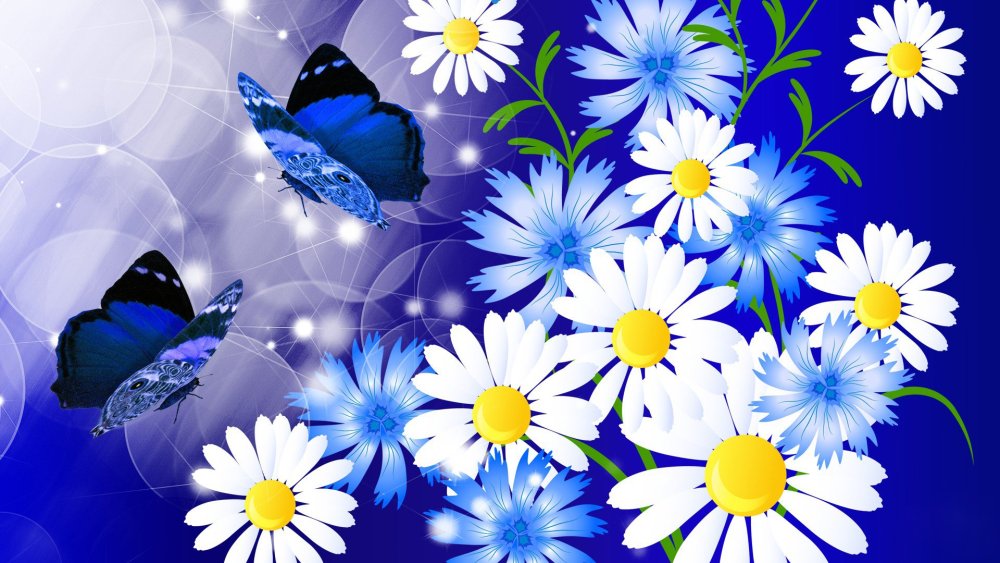 Цветы на голубом фоне