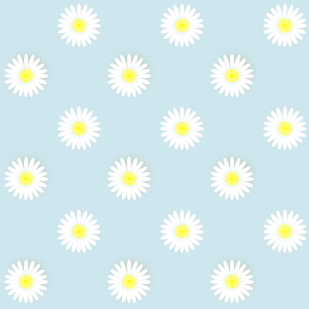 Голубой фон с ромашками внизу