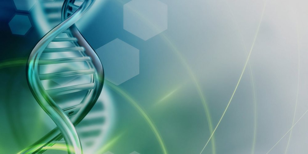 Фон для презентации по биологии