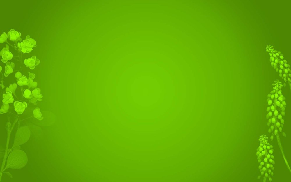 Фон для презентации по юиологи