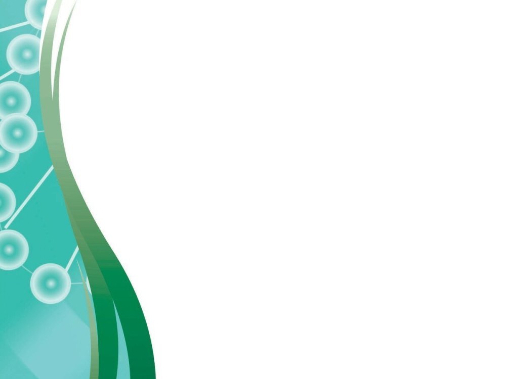 Слайды для презентации