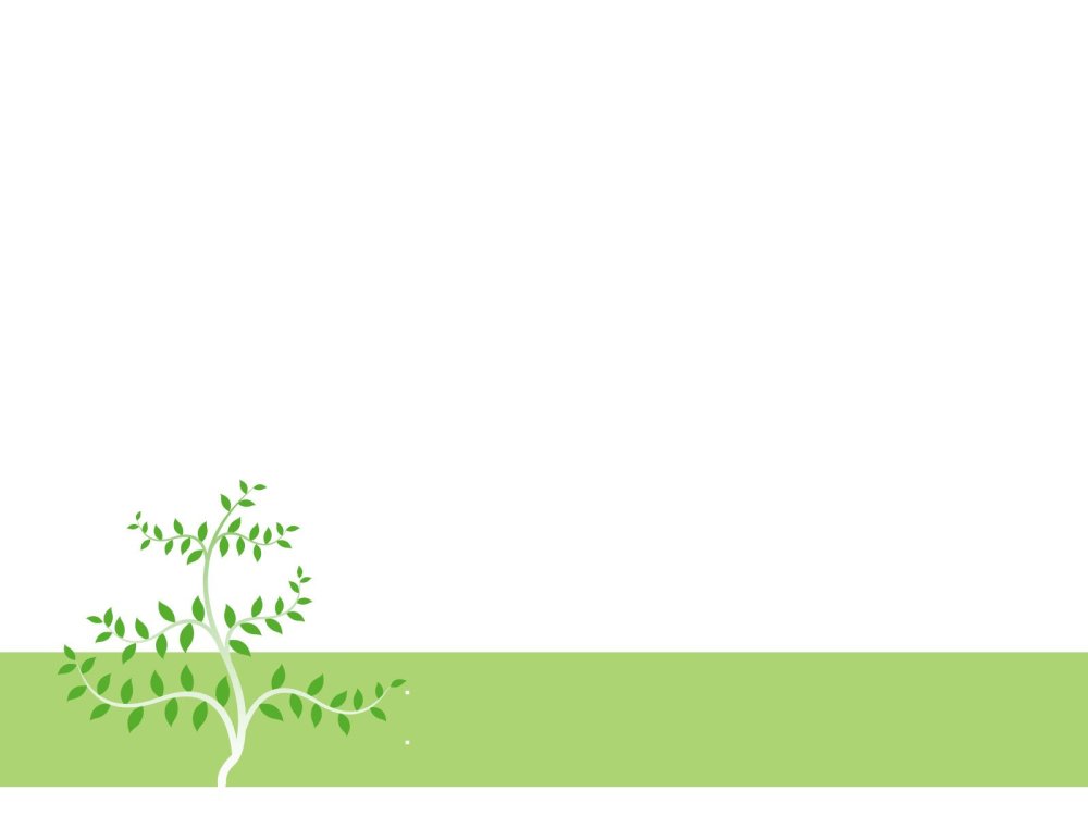 Шаблон для презентации растения