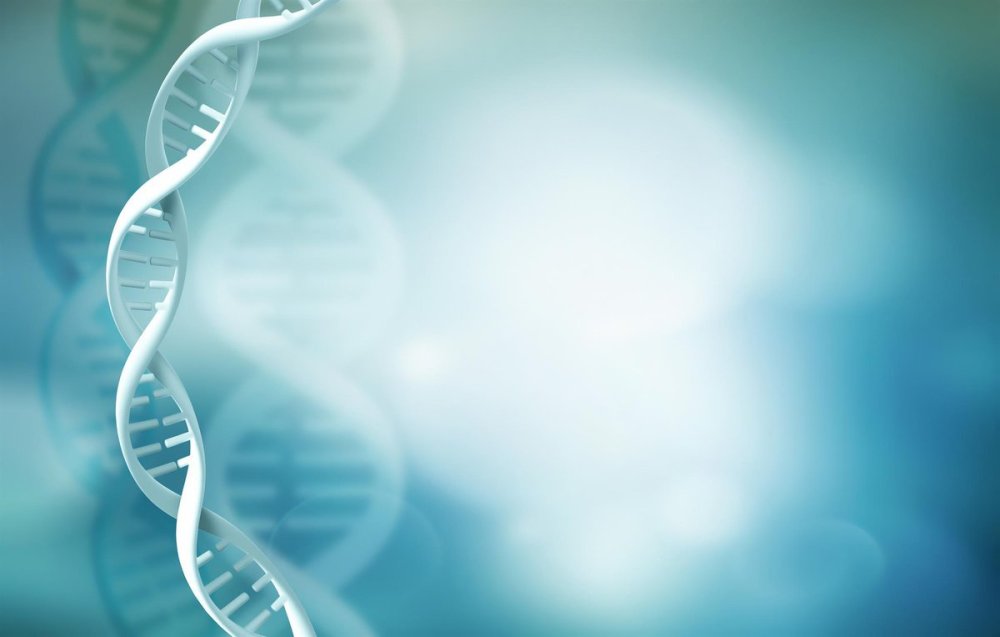 Фон для презентации по физиологии