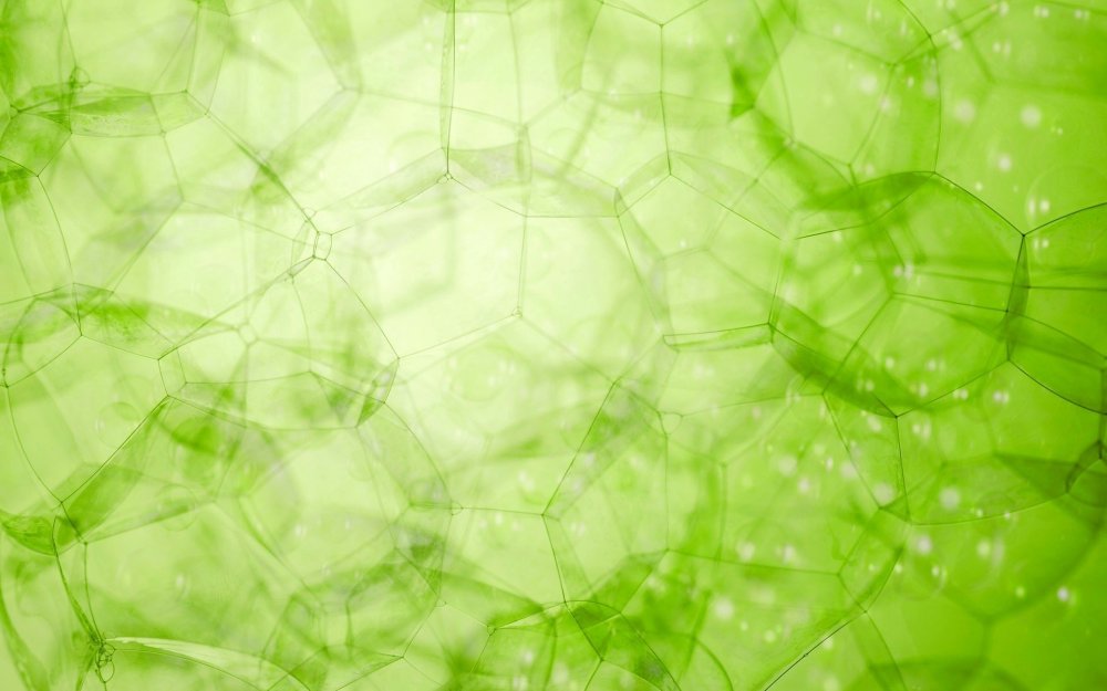 Салатовый фон