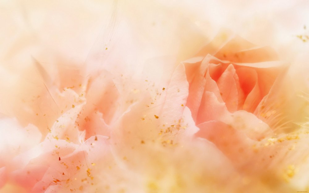 Цветочный фон