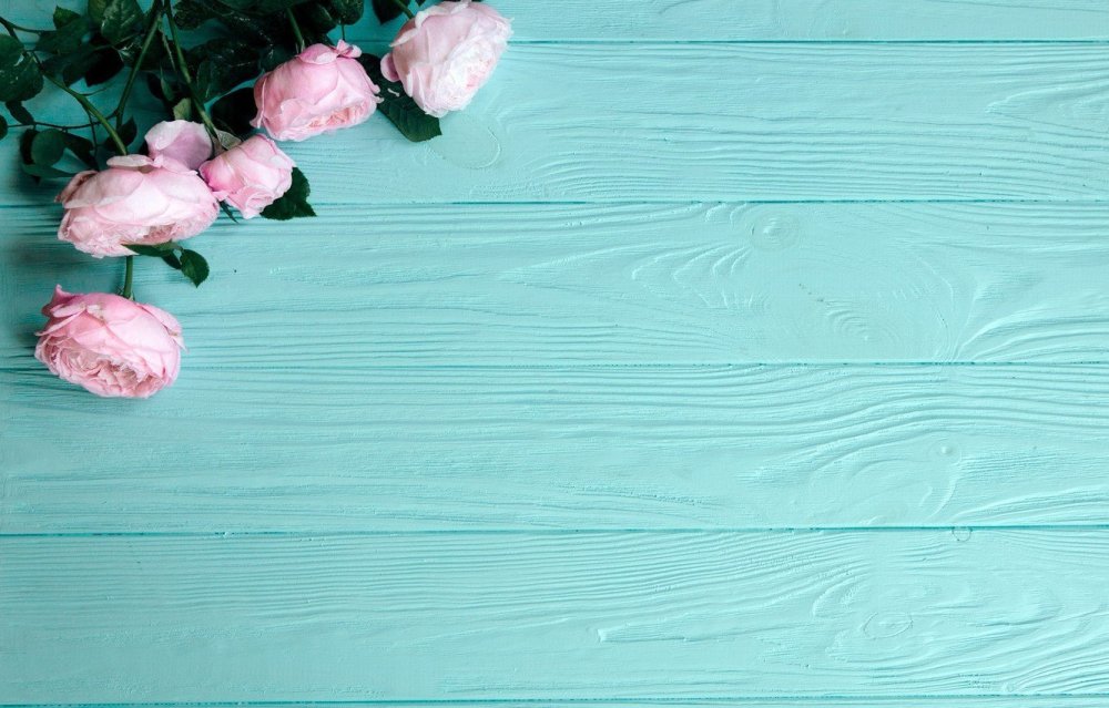 Фотофон нежно розовый