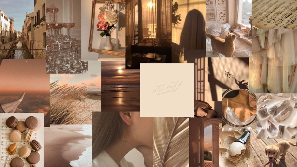 Эстетика коричневого цвета коллаж