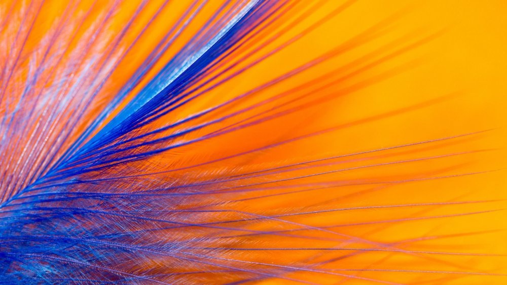 Оранжевый и синий