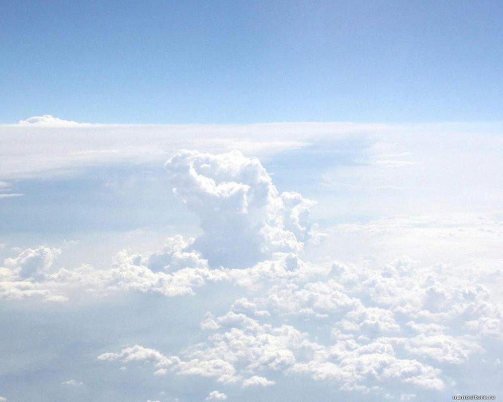 Светлого неба над головой