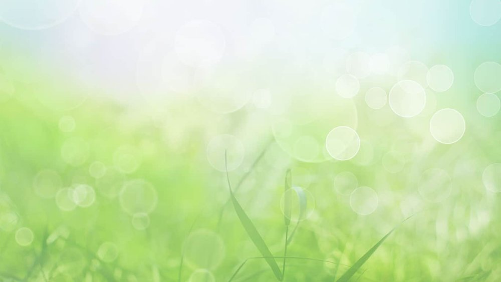 Светлый фон