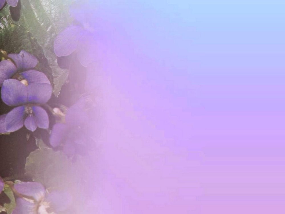 Фон в сиреневых тонах