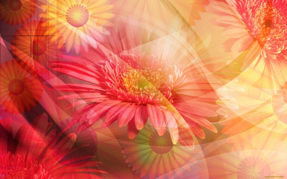 Праздничный фон с цветами