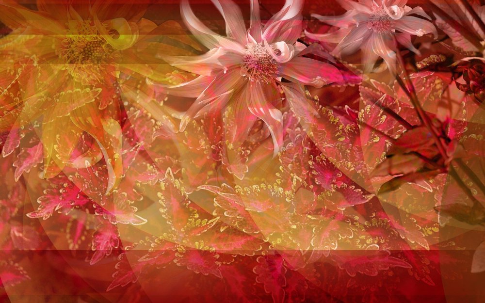 Готовые фоны для коллажей