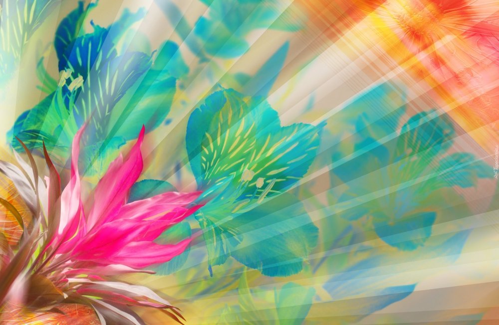 Цветы абстракция