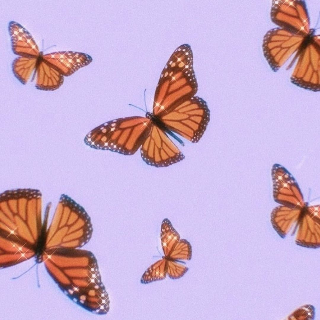 Фон с бабочками эстетика