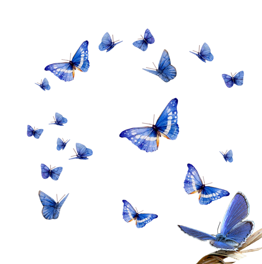 Картинки на прозрачной основе. Маленькая бабочка на белом фоне. Много бабочек без фона. Стая бабочек на прозрачном фоне. Фон бабочки летят.