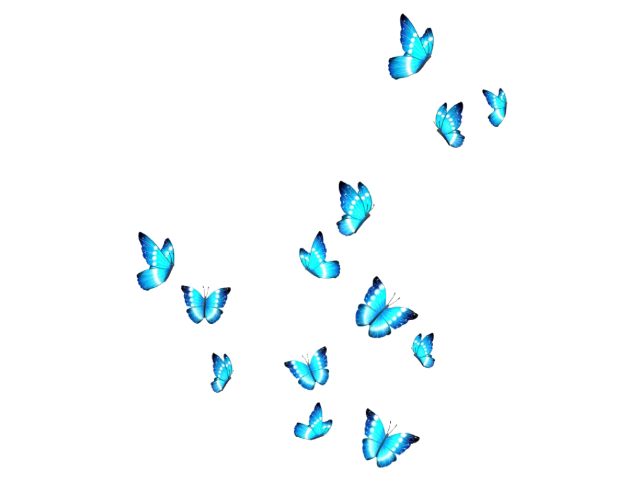 Бабочки летают вокруг. Светящиеся бабочки на прозрачном фоне. Бабочки на белом фоне. Стая бабочек на прозрачном фоне. Стая бабочек на белом фоне.