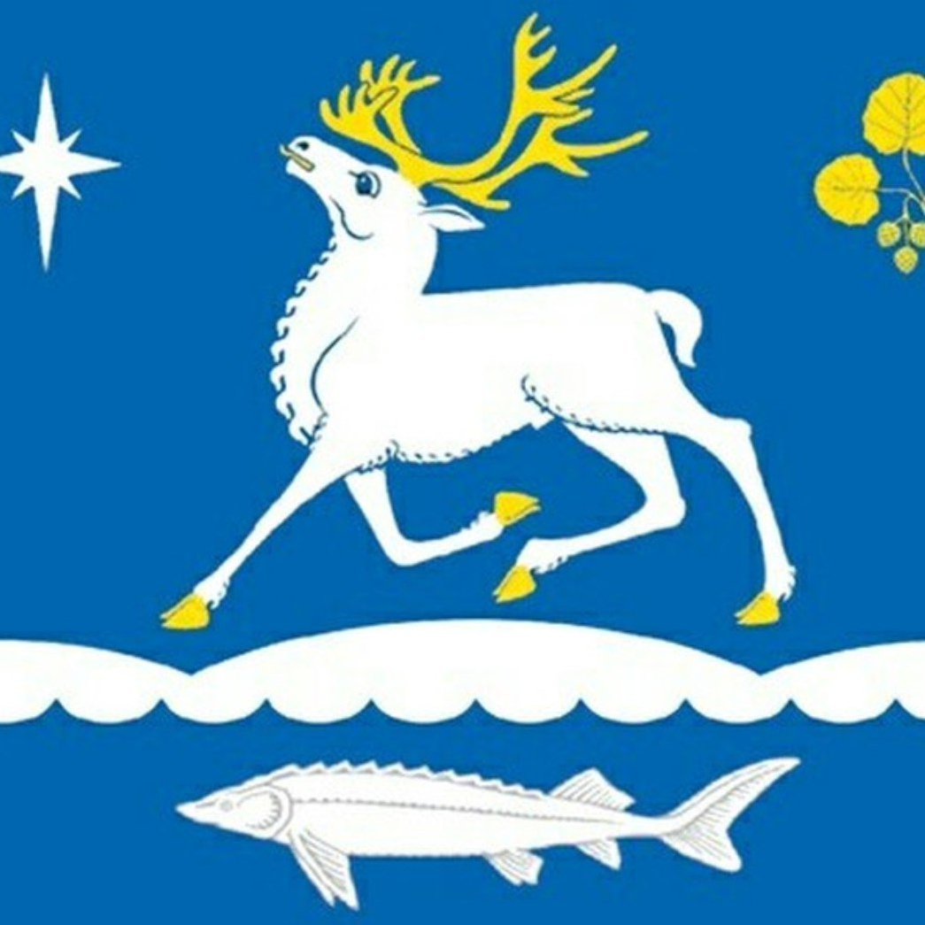 Флаг села Антипаюта