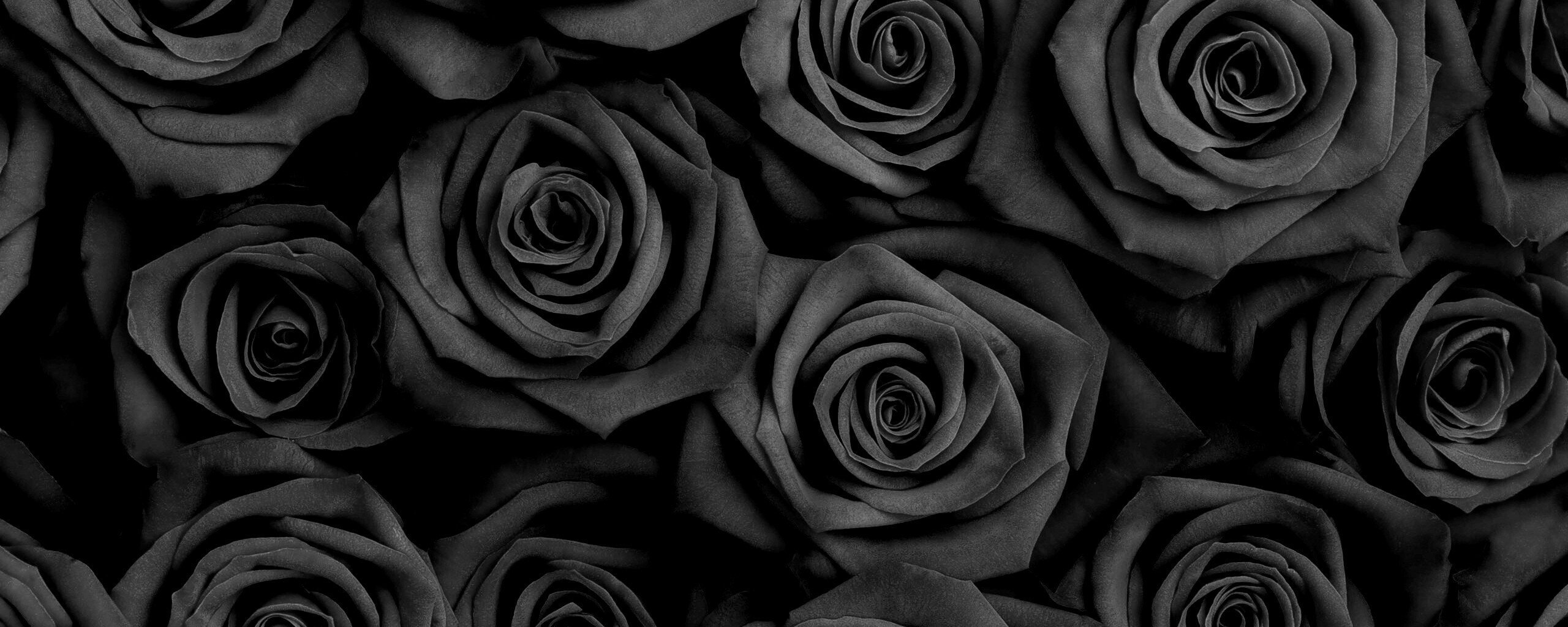 черная роза стим фото 104