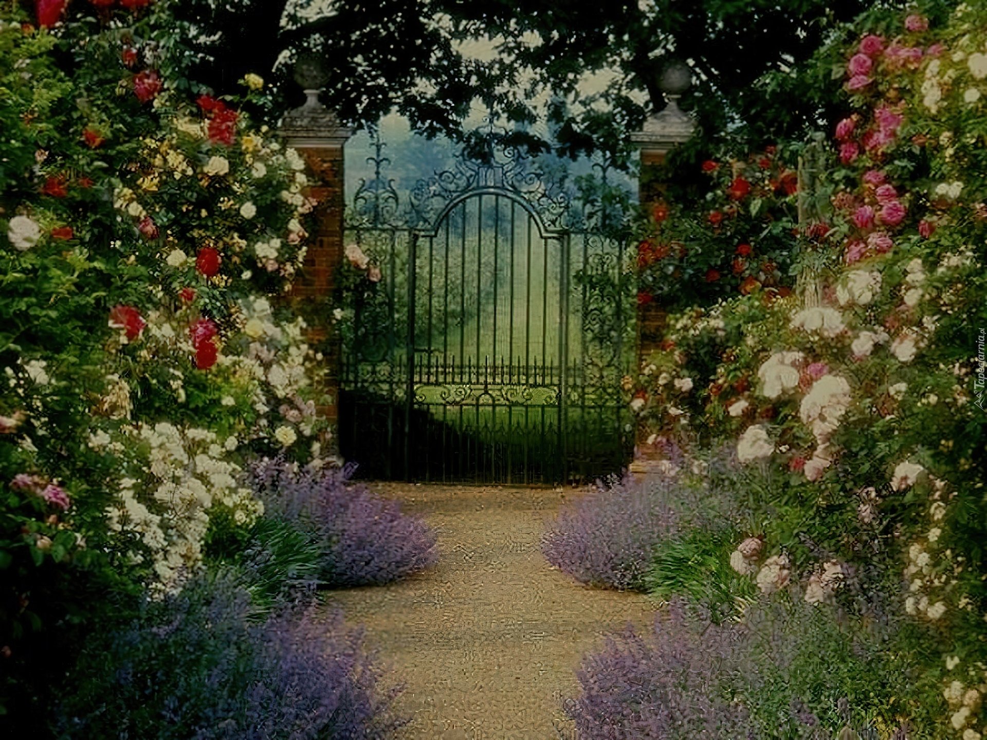 В саду гудят. Красивый сад. Сказочные сады. Сад с цветами. Ворота в сад.