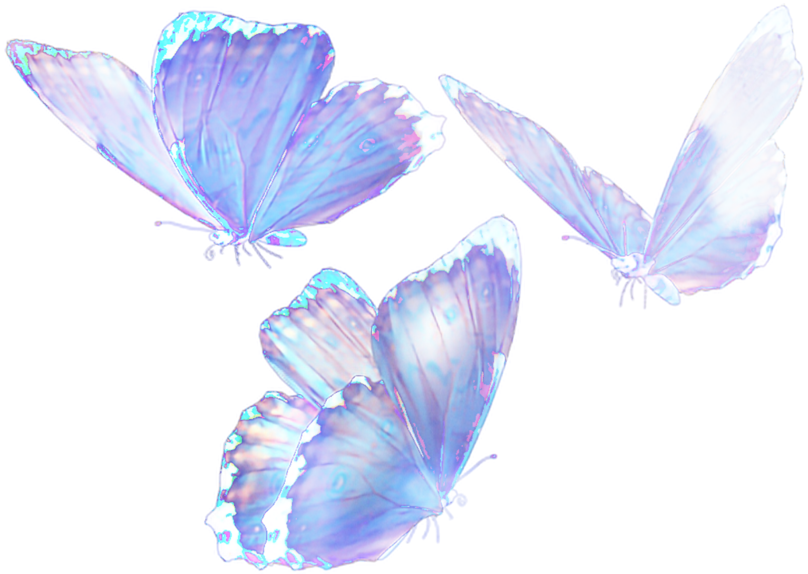 Бабочки аниме на прозрачном фоне - 60 фото