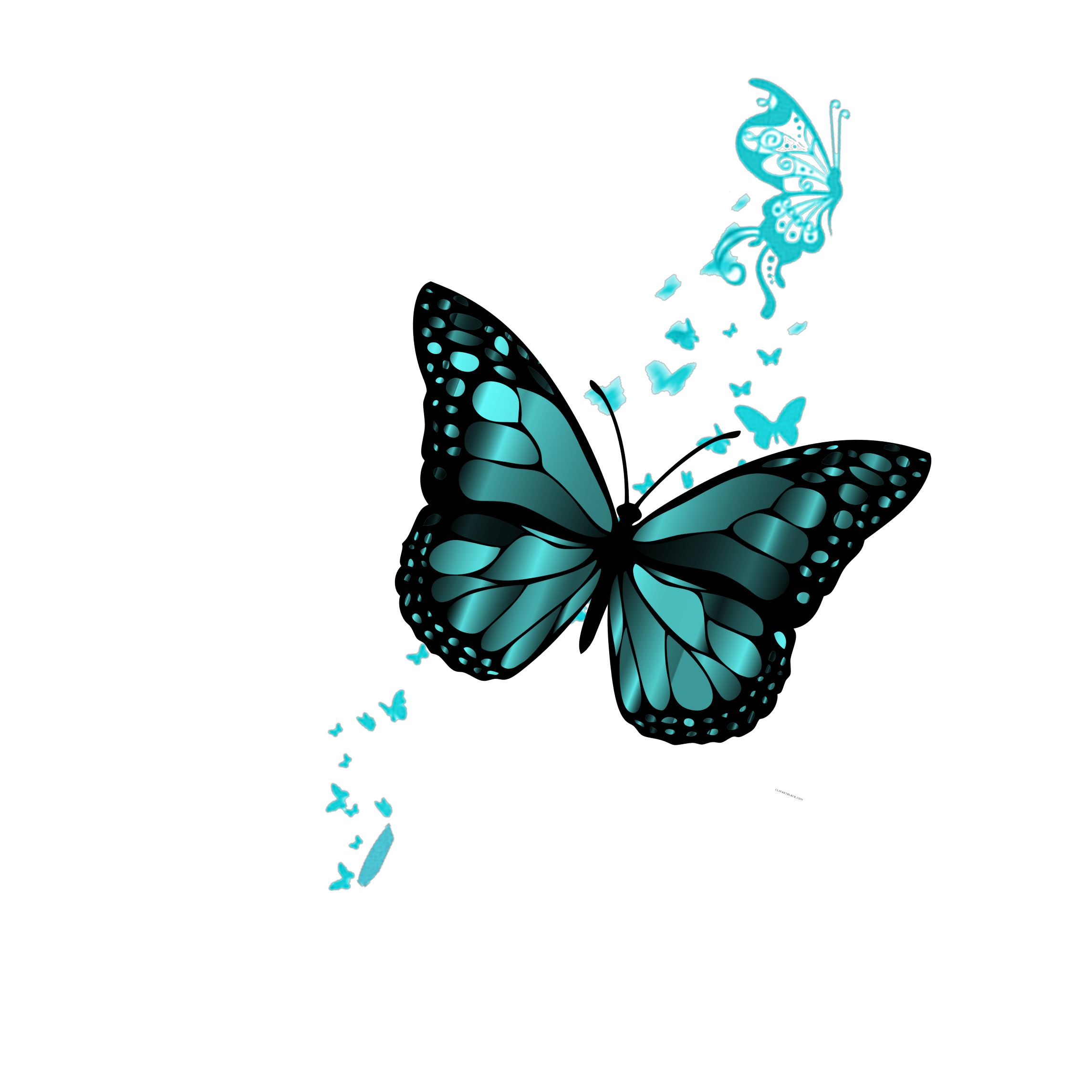 Прозрачная бабочка пнг. Красивые бабочки на прозрачном фоне. Голубые бабочки на белом фоне. Бабочки на белом фоне. Красивые бабочки без фона.