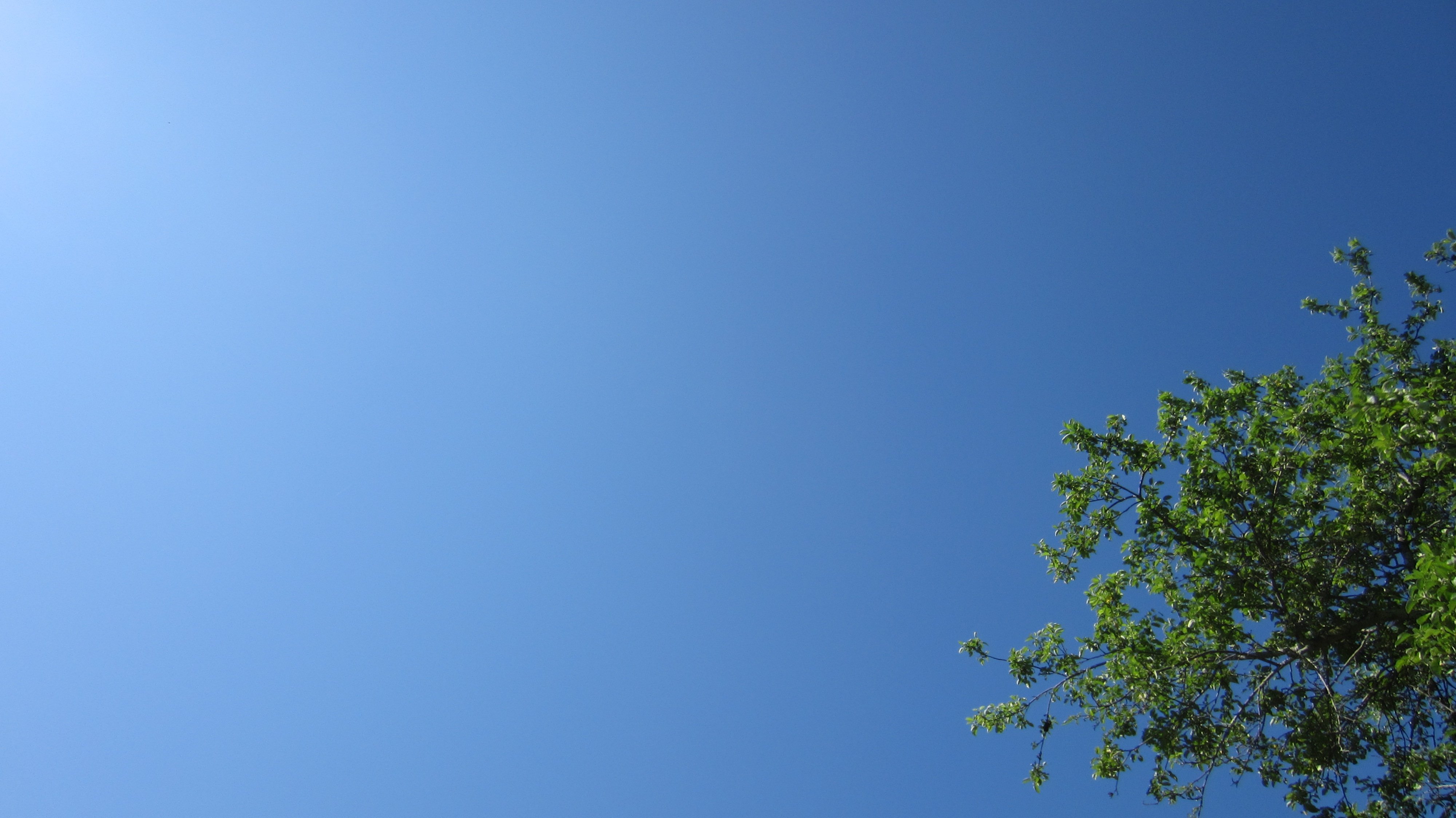 В оконной раме голубеет квадратик чистого неба. Безоблачное небо. Голубое безоблачное небо. Ясное небо. Чистое небо.