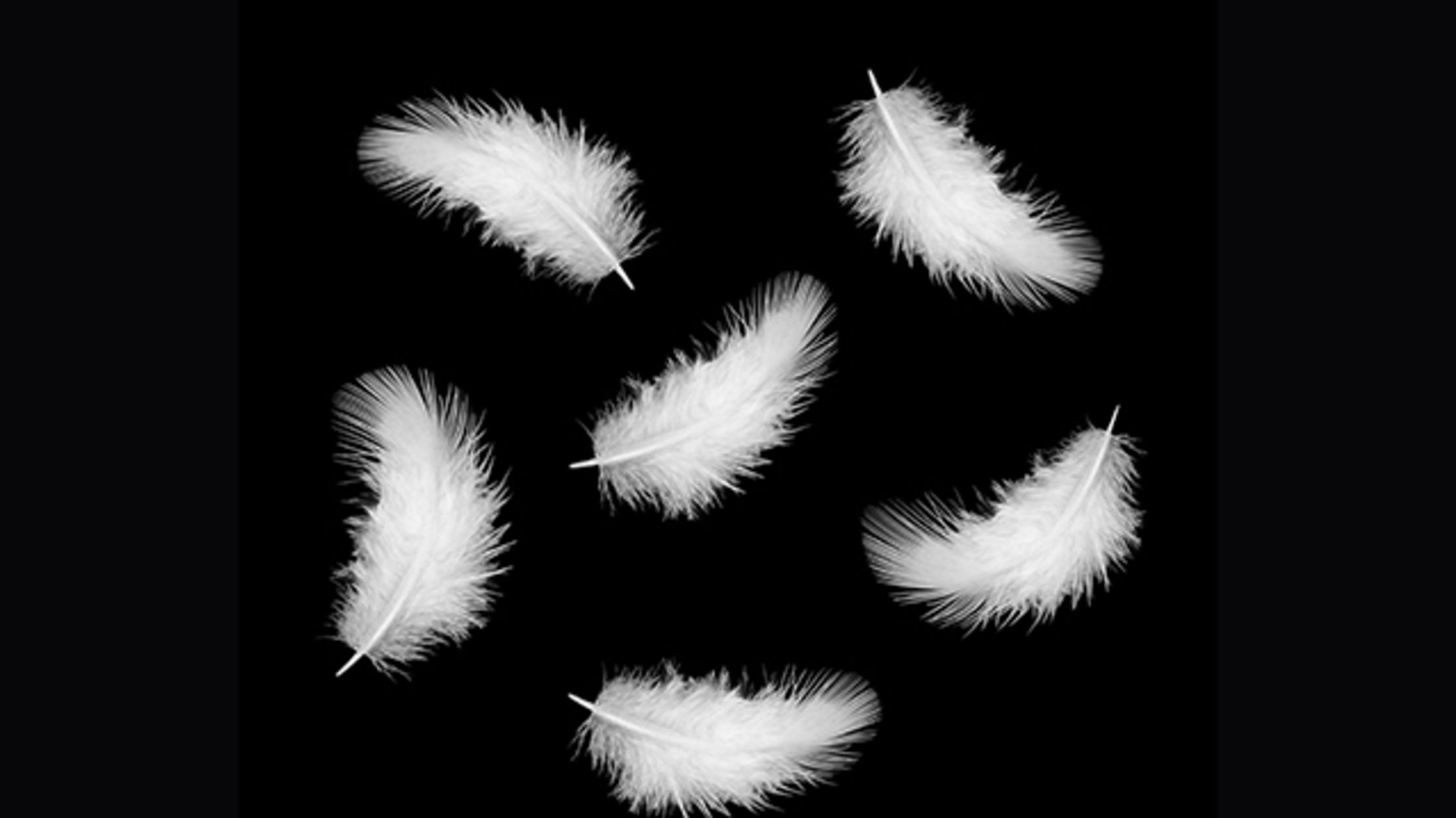 Падающие белые перья