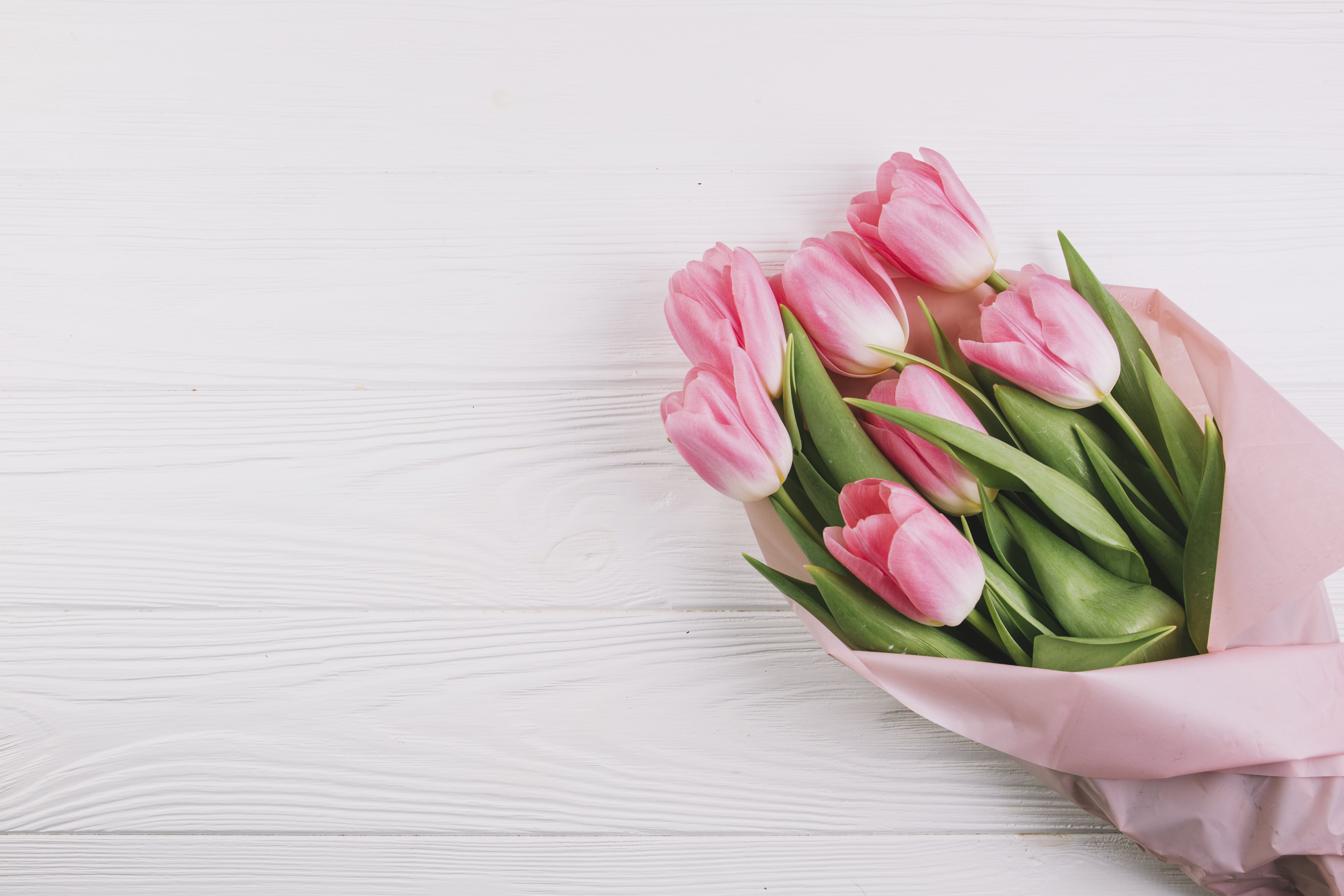 Фон тюльпаны нежный. Нежные тюльпаны. Поздравляю с международным женским днем. Розовые тюльпаны. Букет тюльпанов.