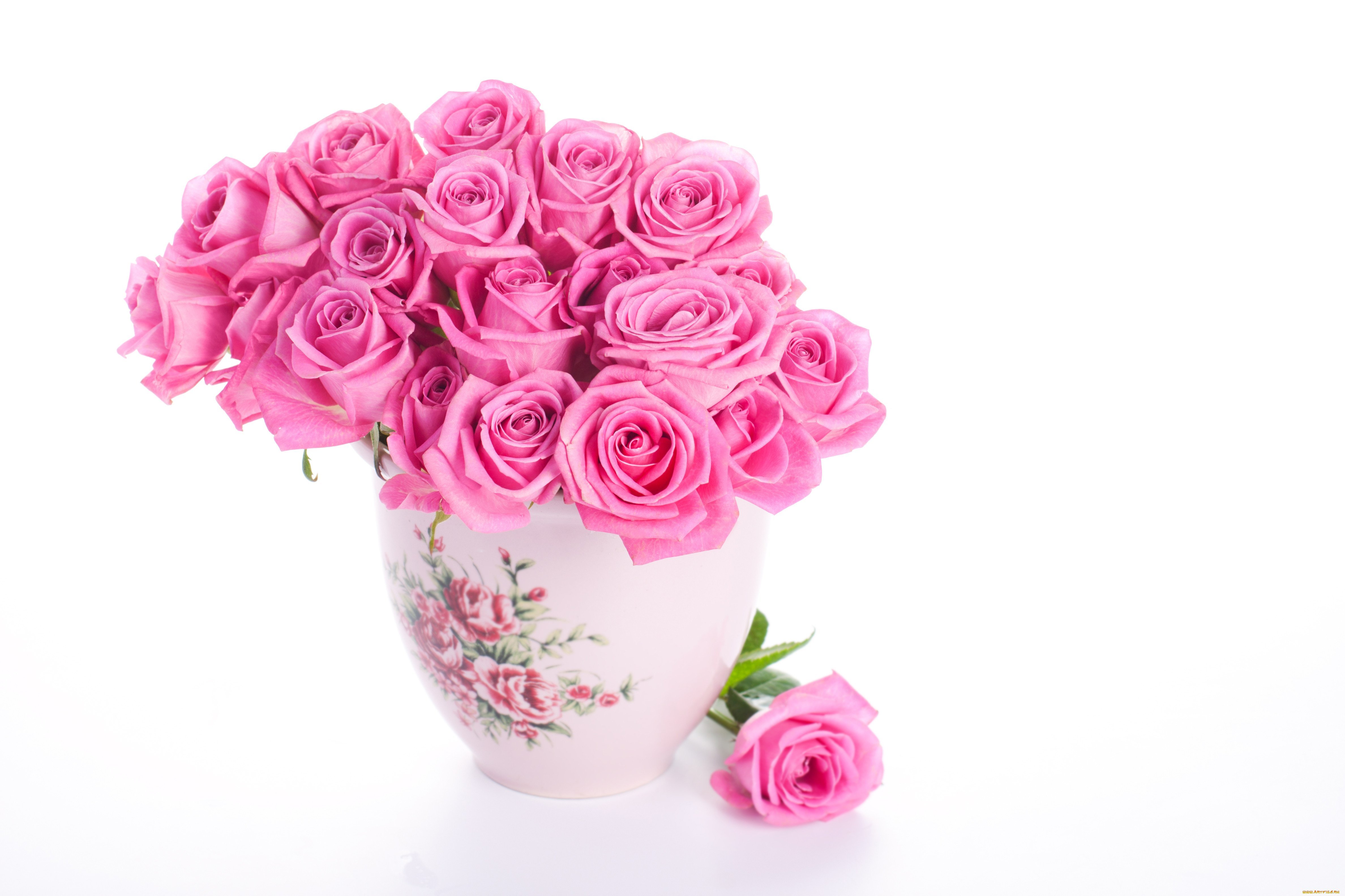 Открытка с днем розовой. Розовые розы. Шикарные цветы в вазе. Красивые цветы на белом фоне. Открытки с цветами красивые.