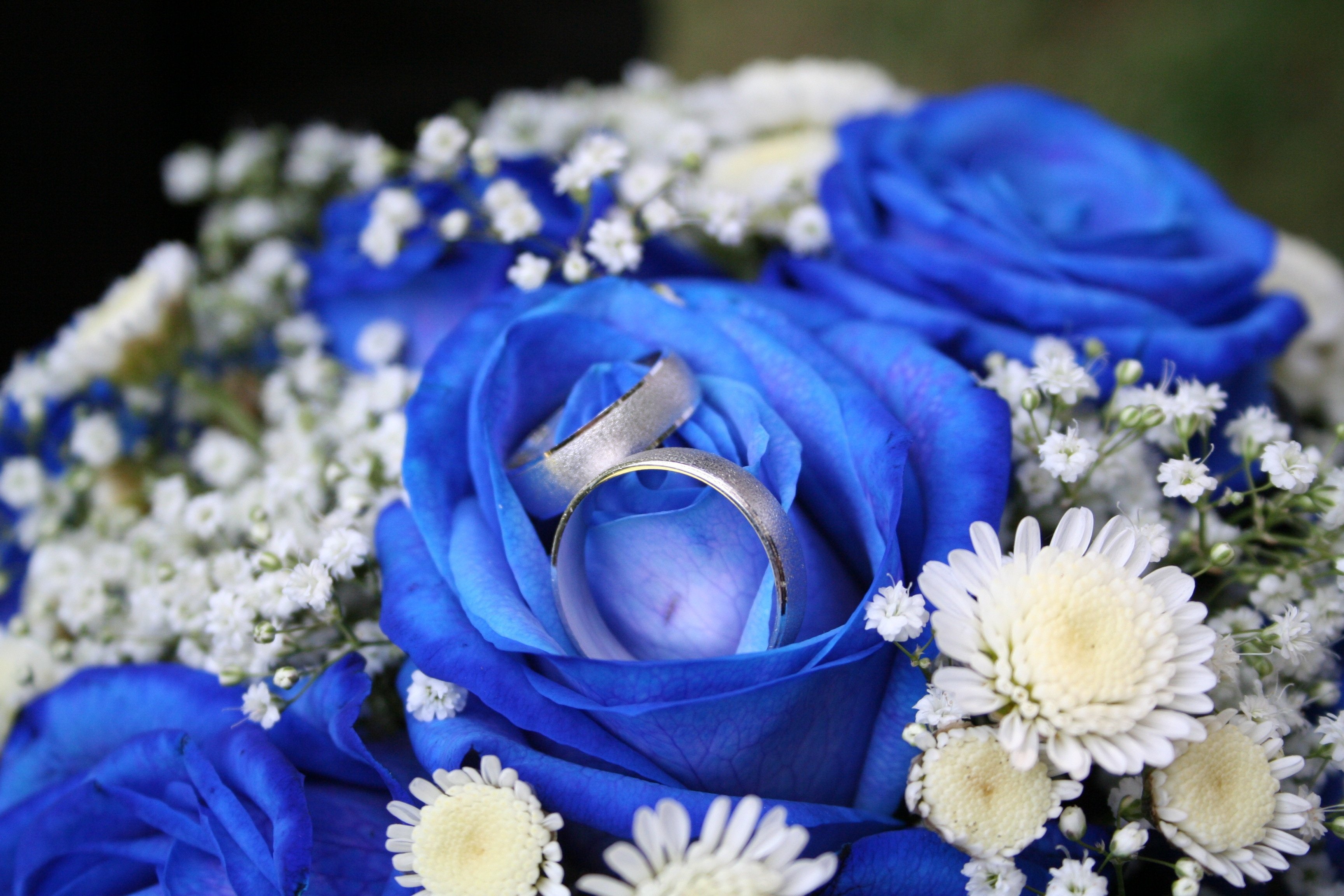 Поздравления с днем свадьбы 45 лет. Свадьба в синем цвете. Синие цветы. Сапфировая свадьба. Подарок на сапфировую свадьбу.