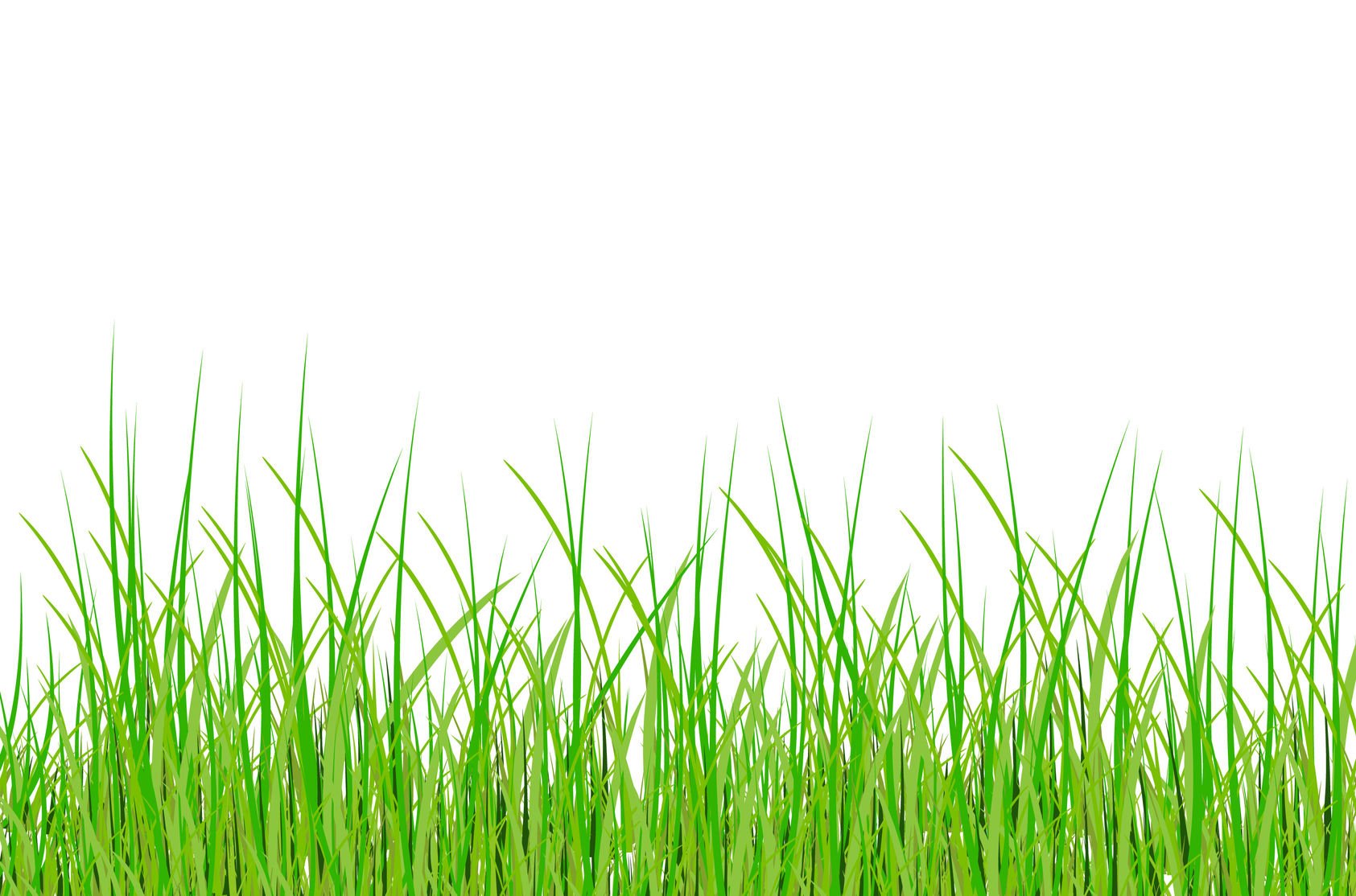 Трава для аппликаций на белом фоне