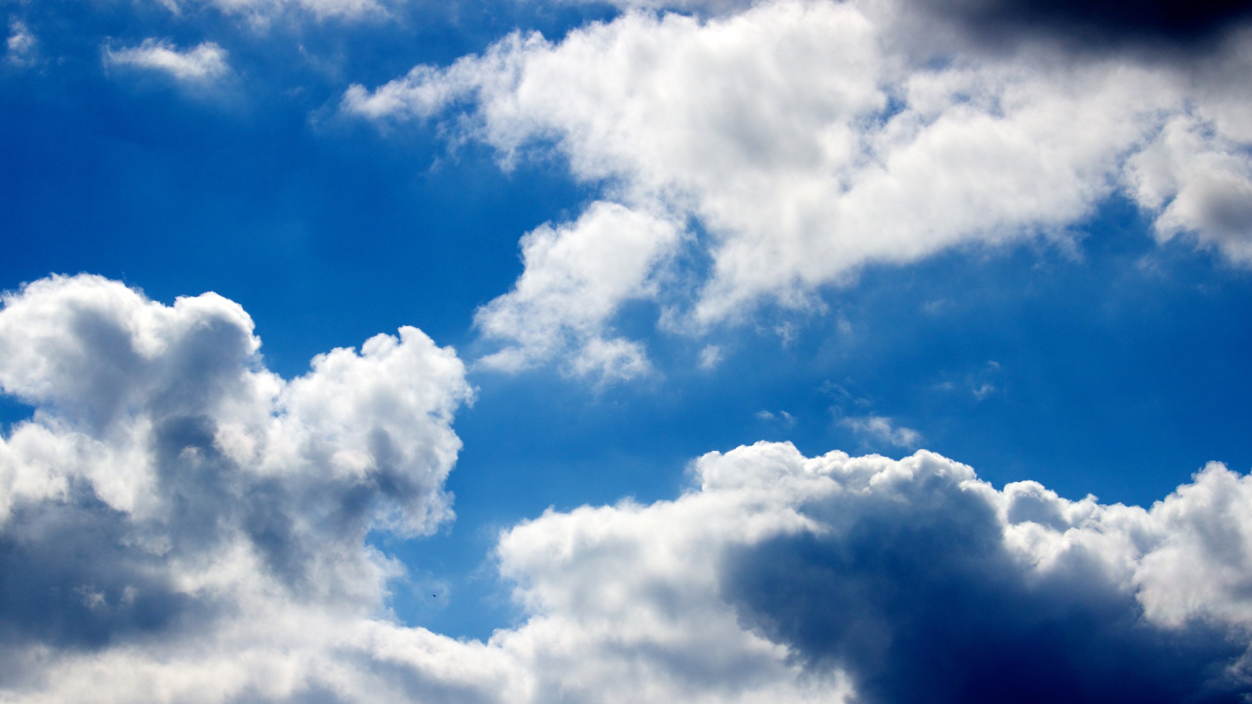 Обои небо. Облака. Обои на рабочий стол небо облака. Солнце в облаках. Фон неба с облаками высокого качества.
