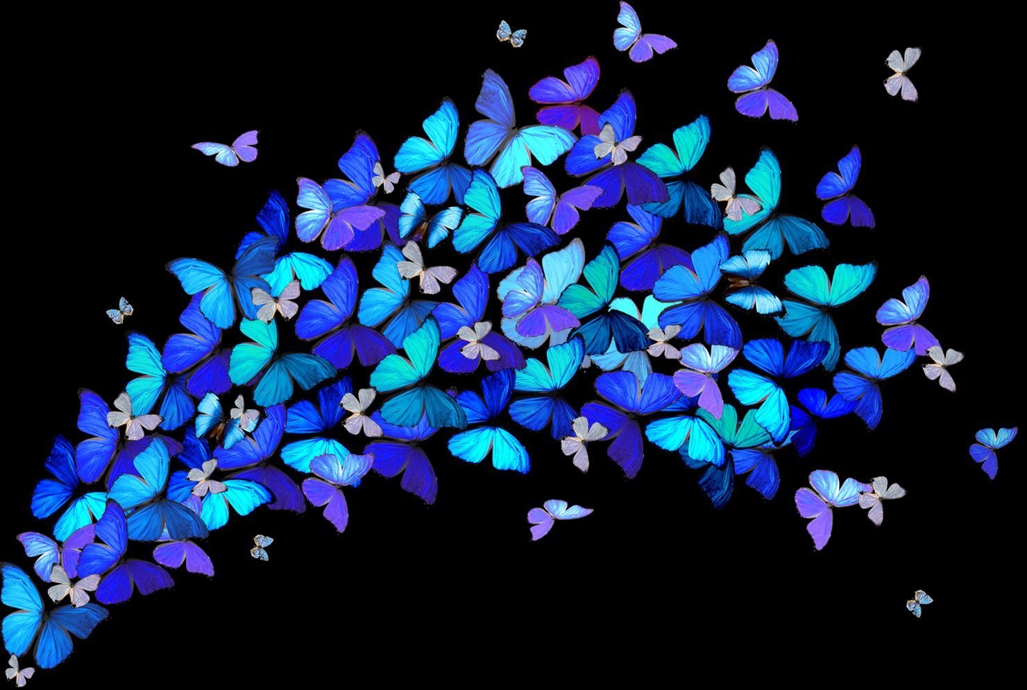 Фон с голубыми бабочками в темноте