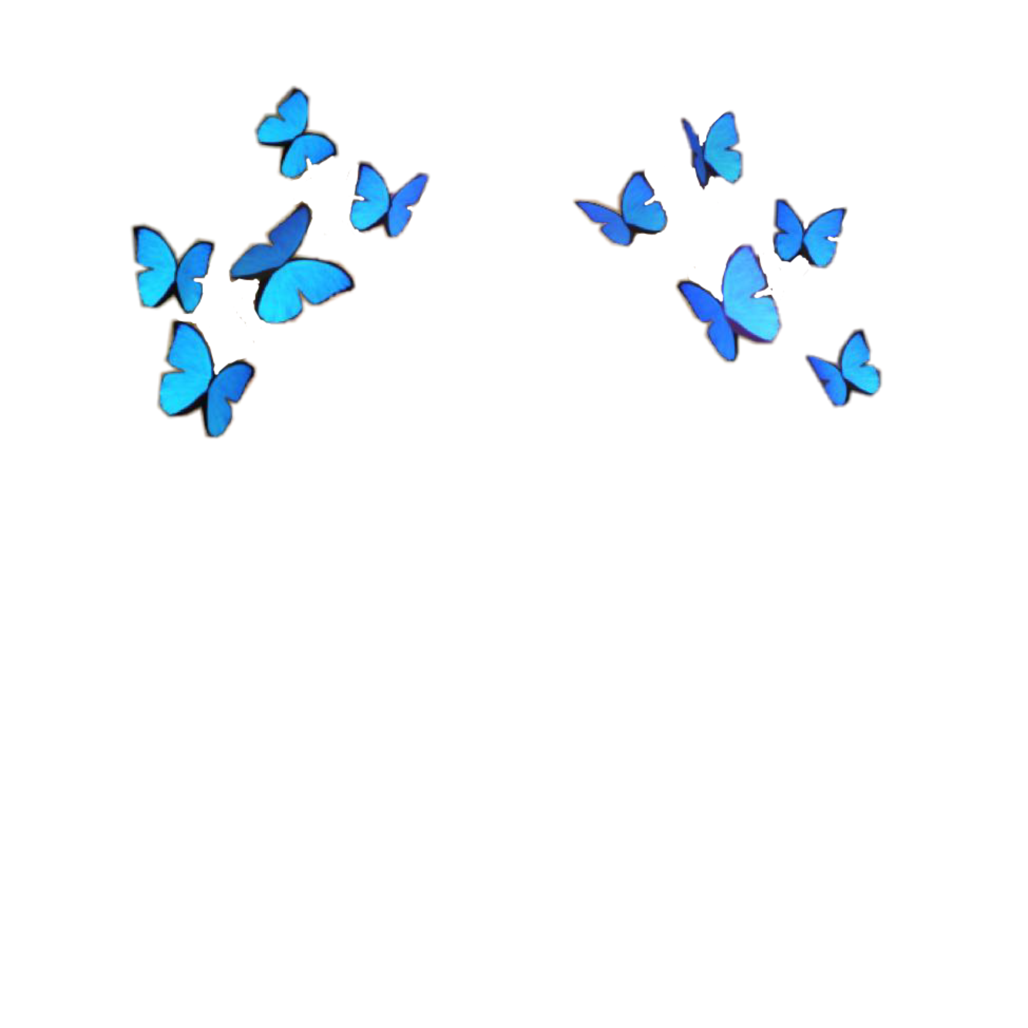 Бабочка над головой. Голубая бабочка на прозрачном фоне. Стайка бабочек на прозрачном фоне. Синяя бабочка. Бабочка без фона.