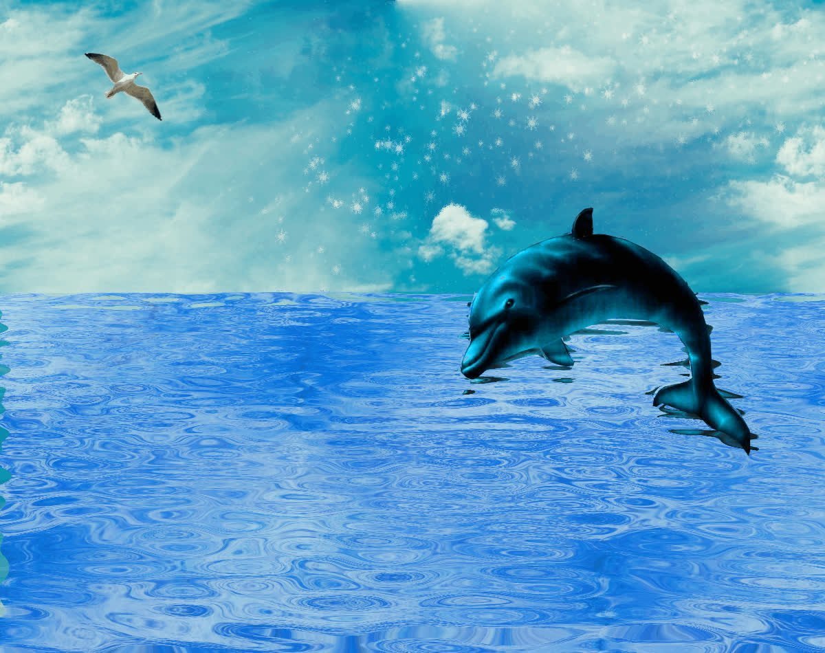 Живые обои шевелящиеся. Морской Дельфин. Дельфины в океане. Красивые дельфины. Дельфин в воде.