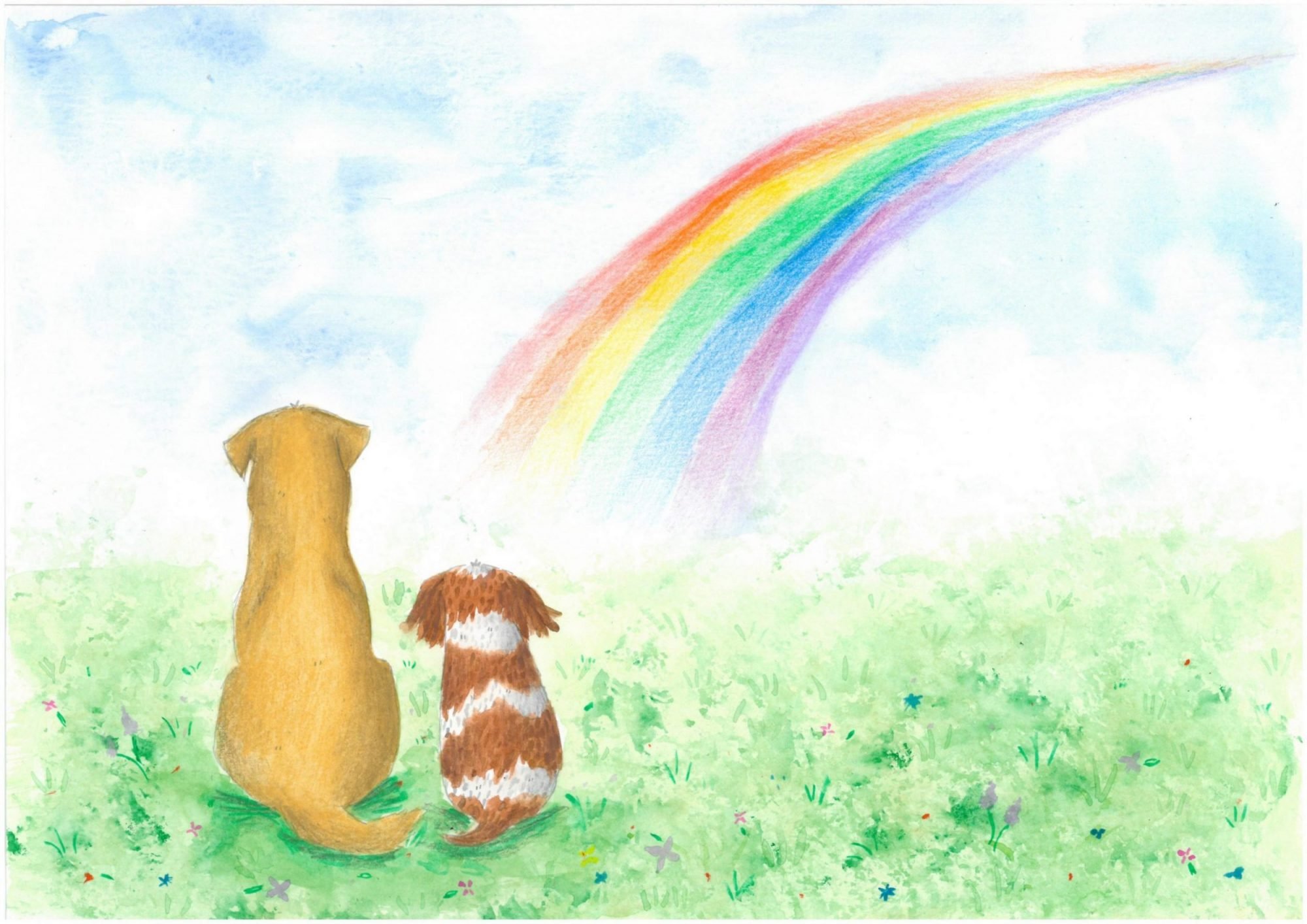 собака на радуге картинки