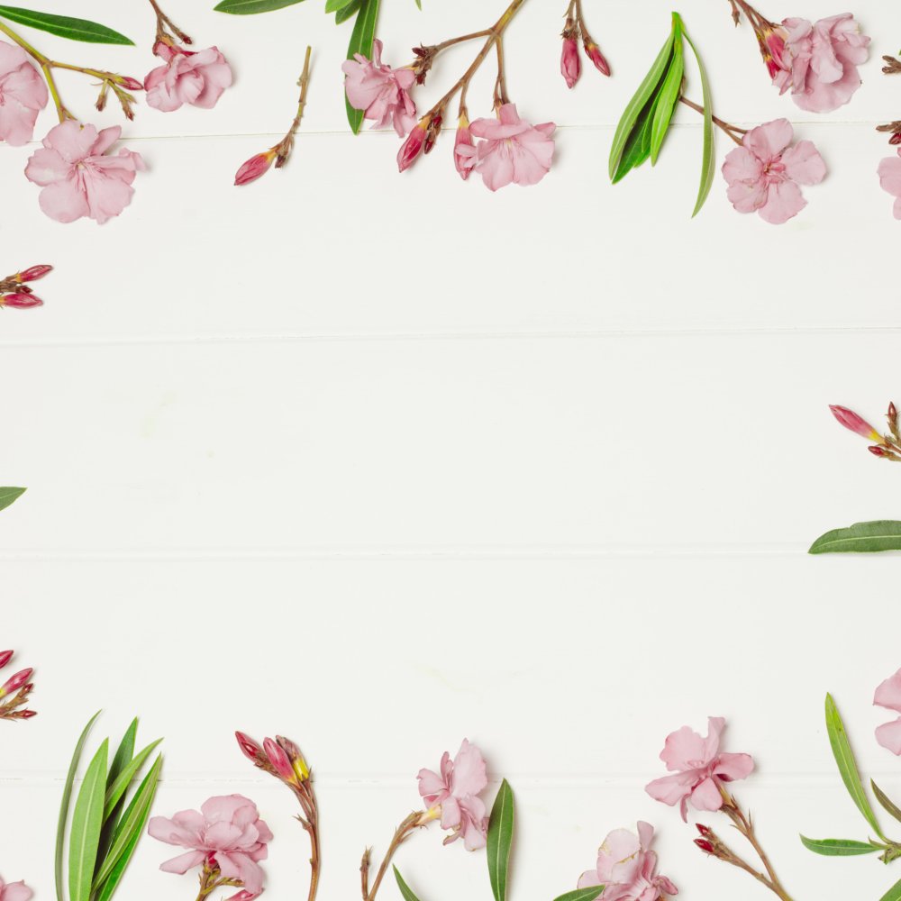 Розовый фон пастельный