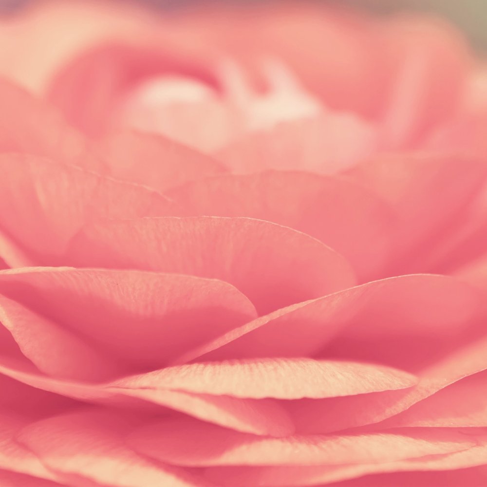 Персиковый фон